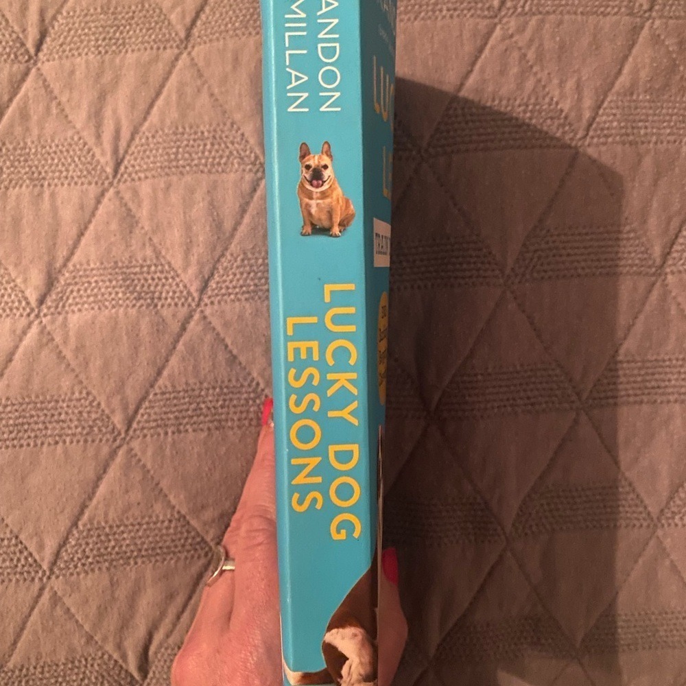 LUCKY DOG LESSONS -TRAIN YOUR DOG IN 7 DAYS PAPER‎ BACK - Picture 2 of 3